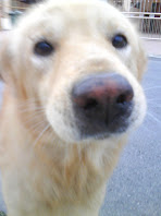 My dog dog~~plaki = 3=