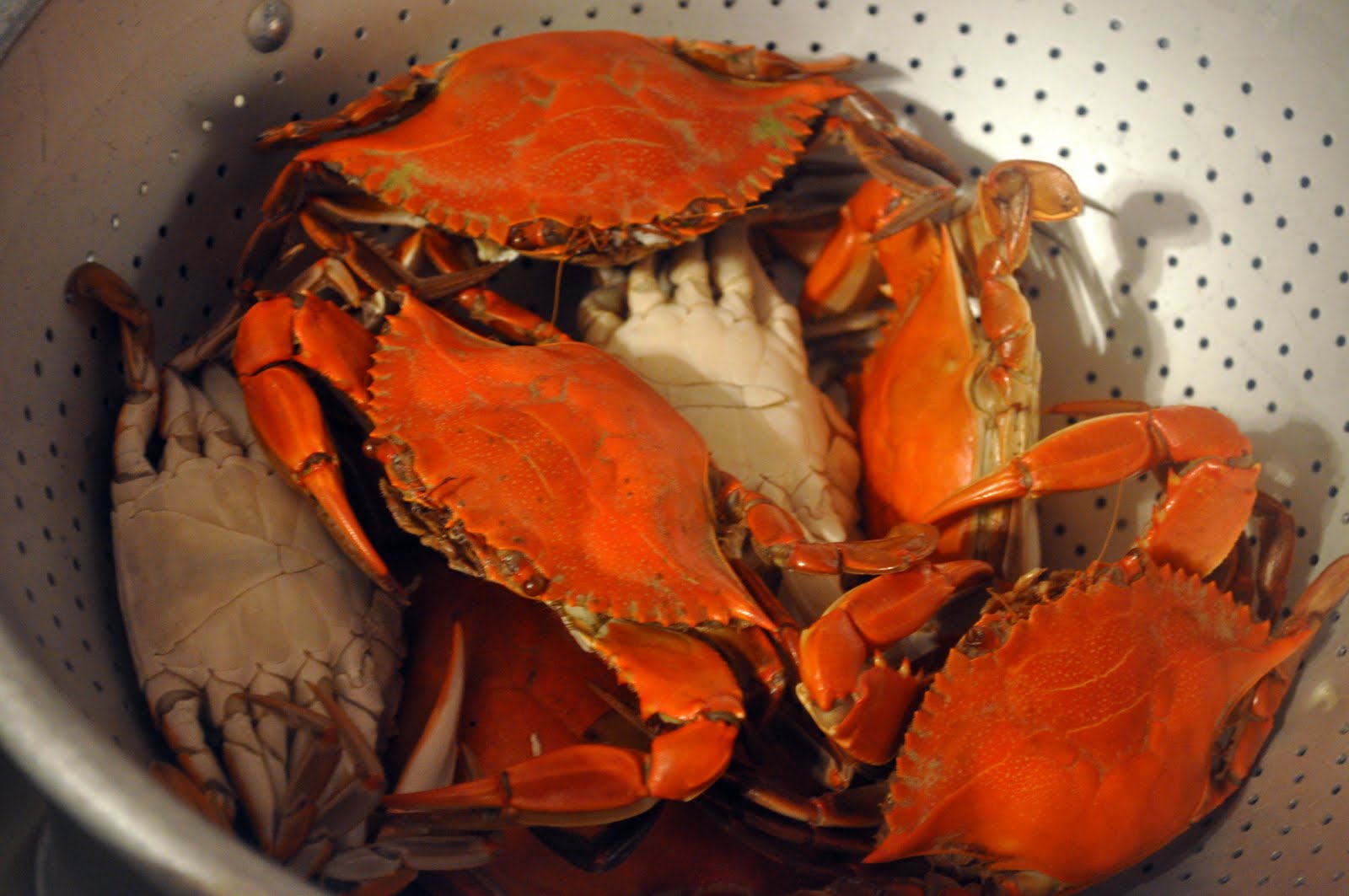 Our Italian Kitchen: Fresh Crabs with a Quick Marinara Sauce