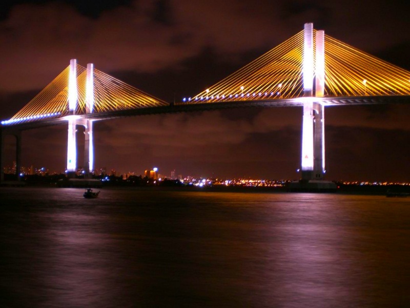 Some cablestayed bridges in Brazil... SkyscraperCity