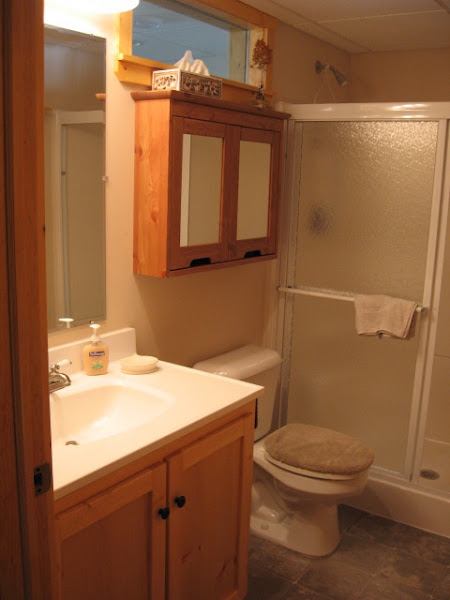 Lower level bathroom