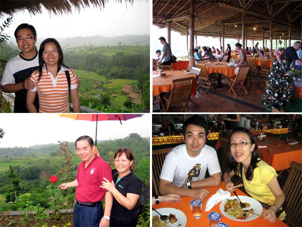 [rice+terrace+03.jpg]