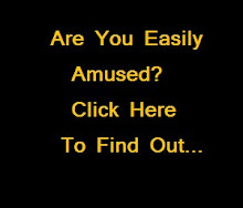 Amusement For Small Minds