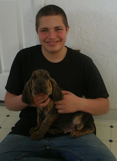 Help with a hound - Working and Companion Animals