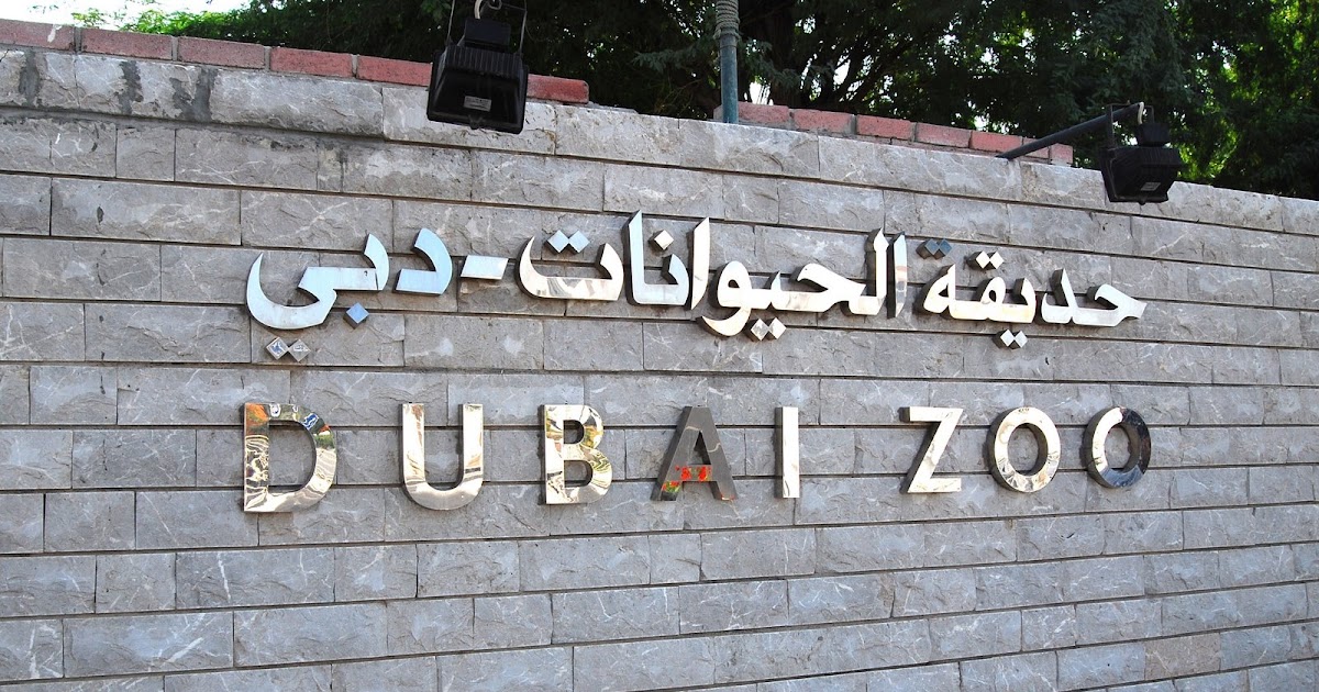 Dubai Photo Story Dubai Zoo