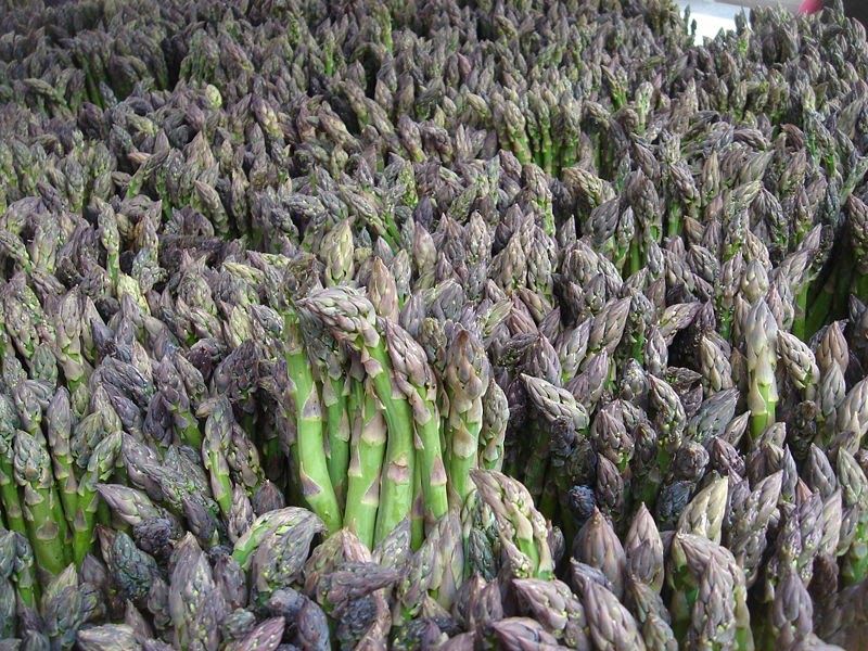 The Poor Mouth Asparagus Mars