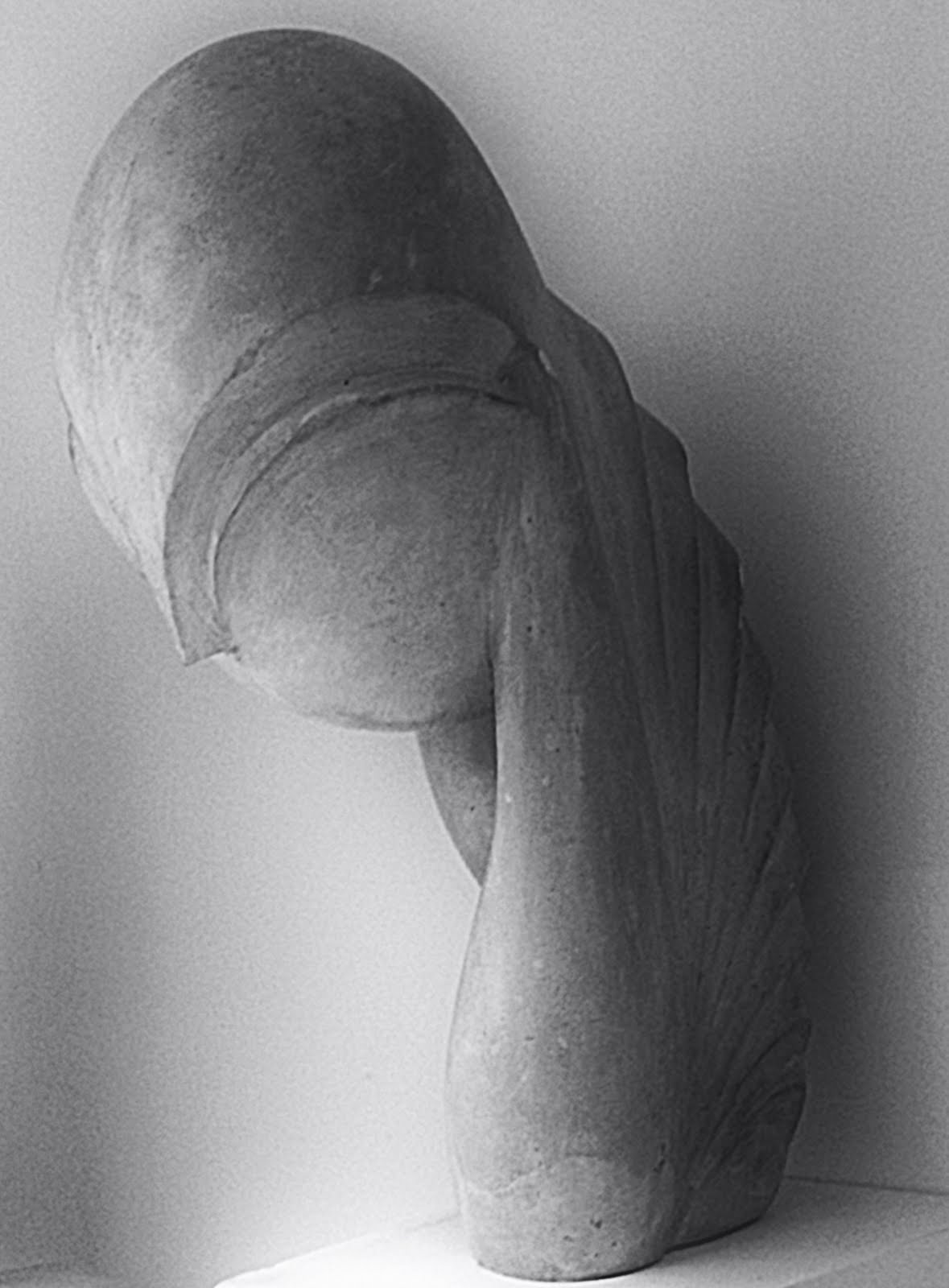 Brancusi Photo
