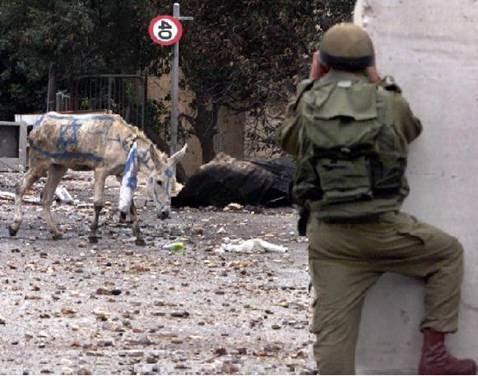 [خر+اسراییلی.bmp]