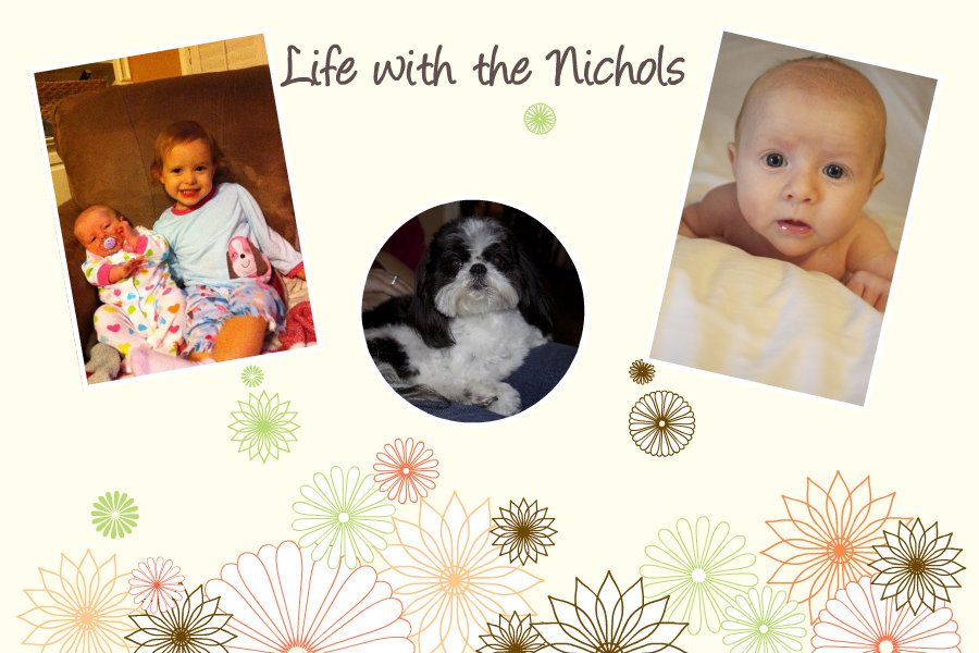 Chris & Jessica Nichols Blog
