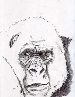 Matt Fontaine: Gorilla Sketch