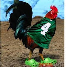 Sports Cock