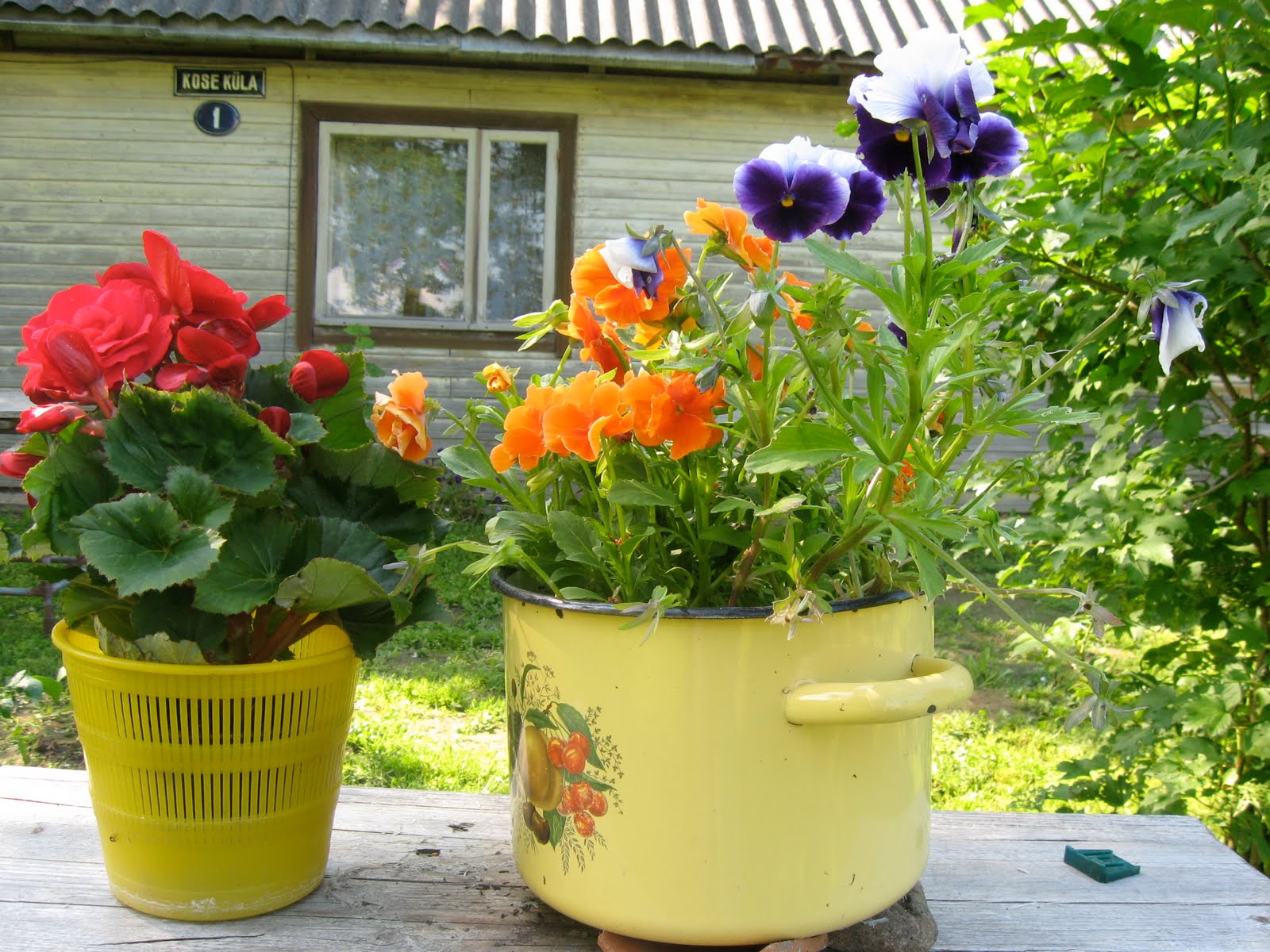 [IMG_6989.JPG]