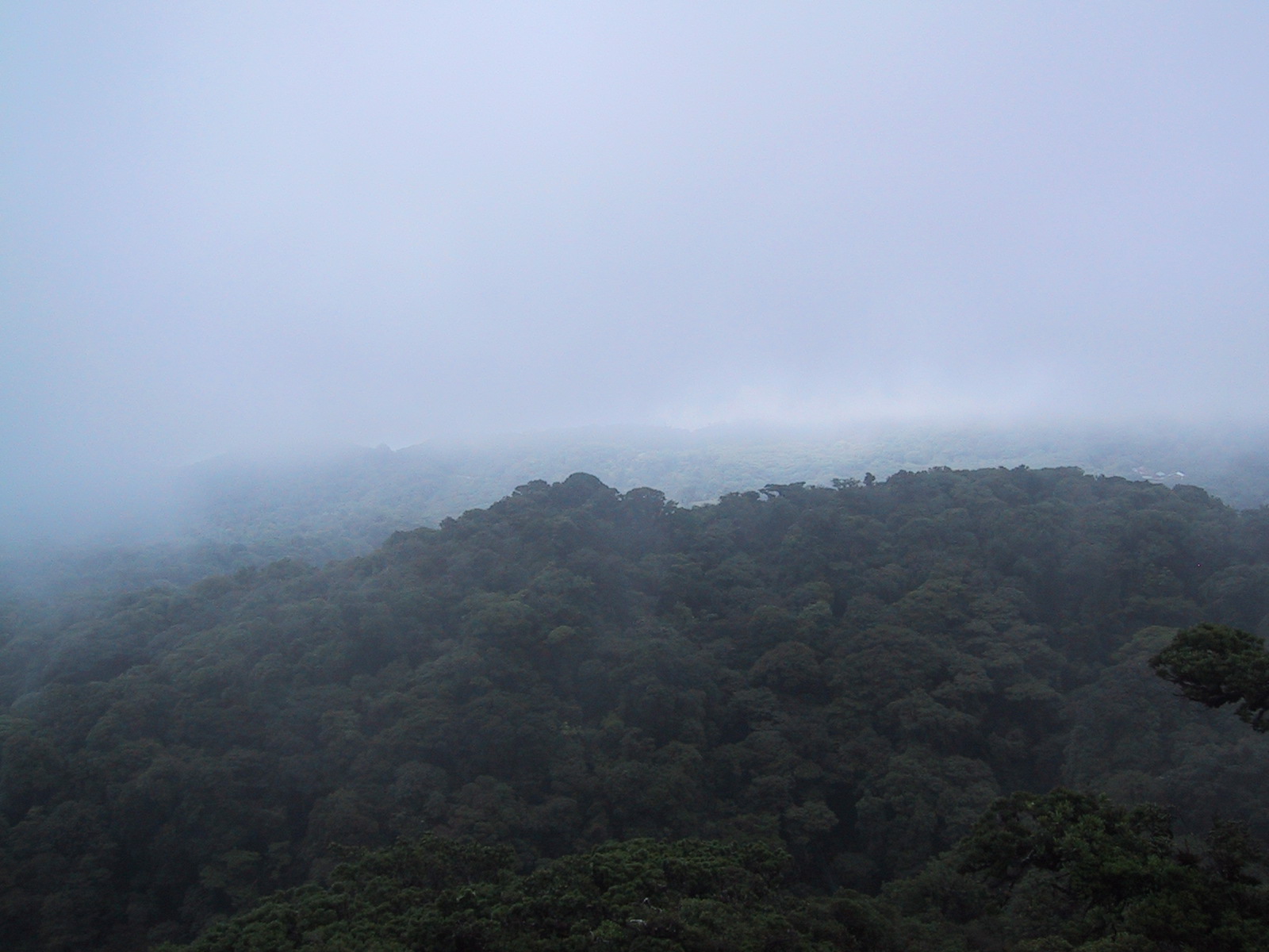 [COSTA+RICA+CHRISTA+012.jpg]