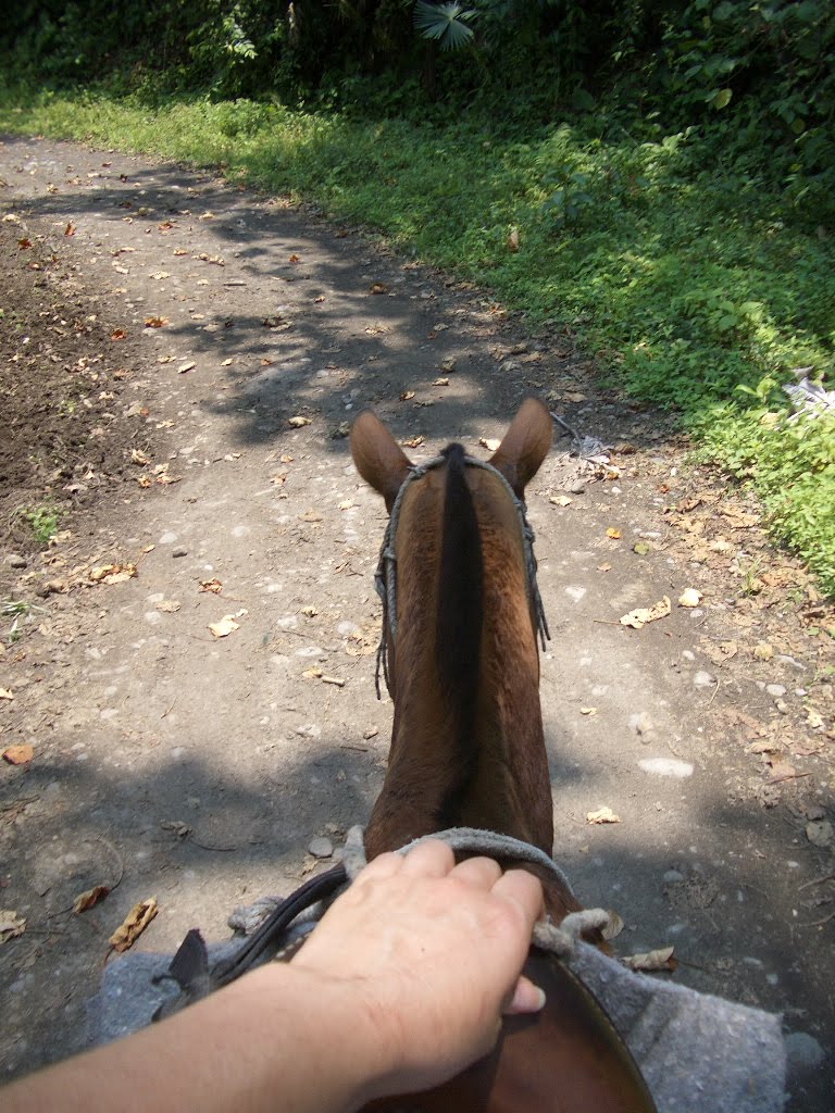 [2005-05-18+123.JPG]