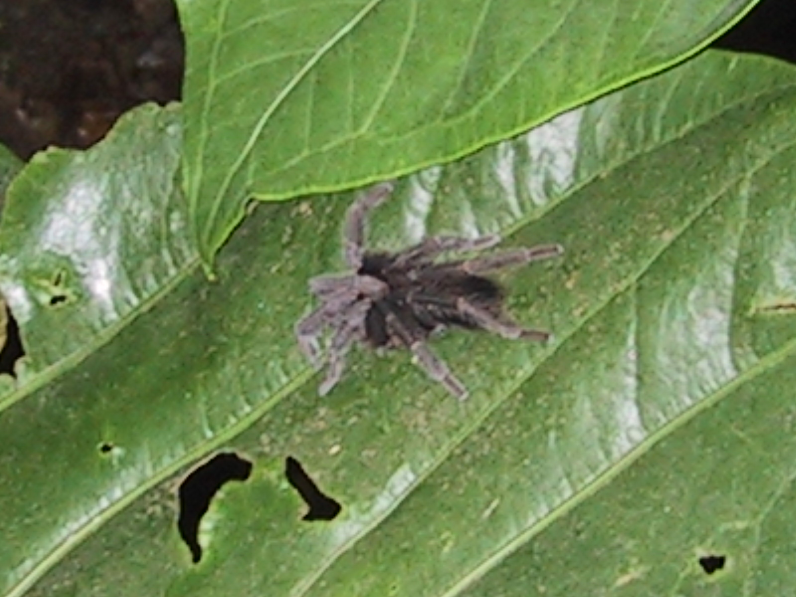 [COSTA+RICA+CHRISTA+005.jpg]