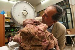 [20081271933520.3-potato.JPG]