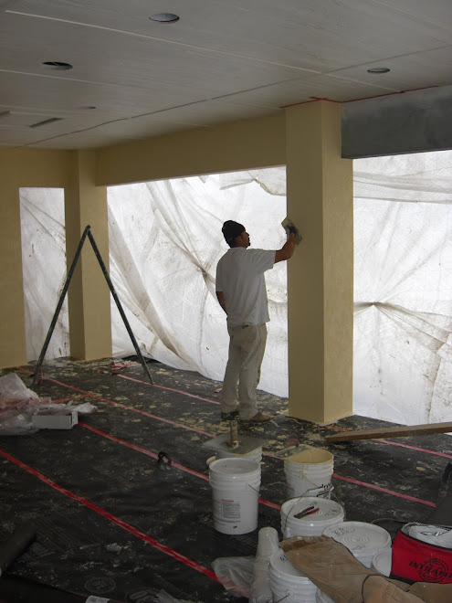 Stucco Color ~ Back Patio