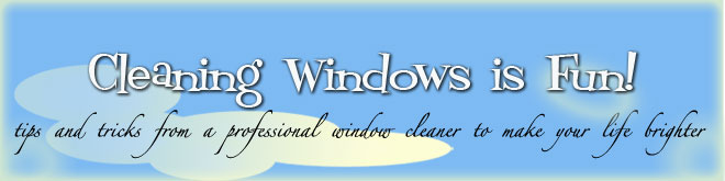 Window Cleaning is Fun!