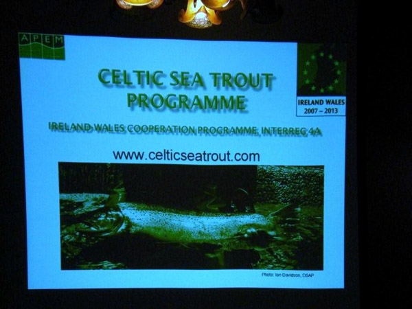 Programme du Celtic Sea Trout
