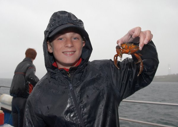 Pol, grand chasseur de crabes, contre-attaque