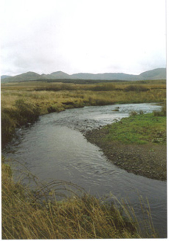 Cumeragh River, riviere principale du Currane System, est tres vulnerable pour le braconnage