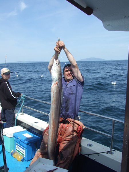 Et puis, un superbe congre 35lbs, pris ce dimanche 31 mai lors d'un concours de peche local