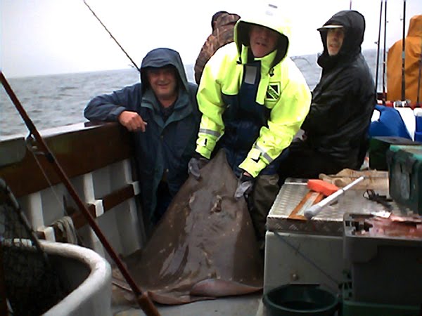 Ein Traumfisch von der Valentia Coast. (Adlerrochen, cat. 180lbs)