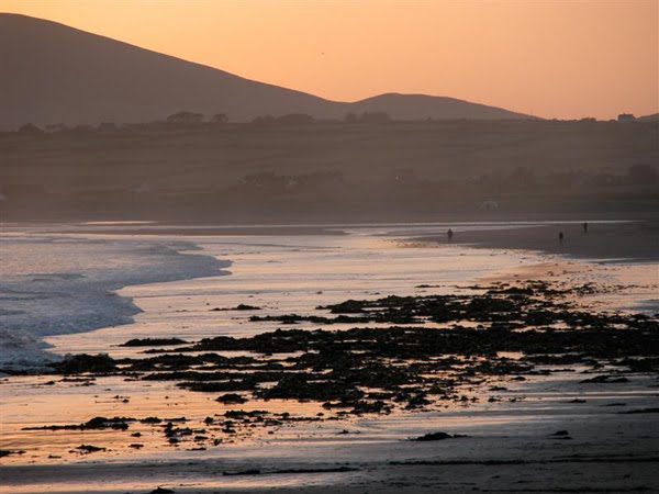 Grouss'arteg Plaatzen fir den Surf-casting ze feschen, Waterville beach