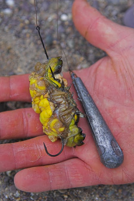 Een gudden Maufel fir een decken Bar ze fenken, den "crabe moux"