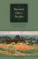 [Haystack+full+of+needles+cover.jpg]