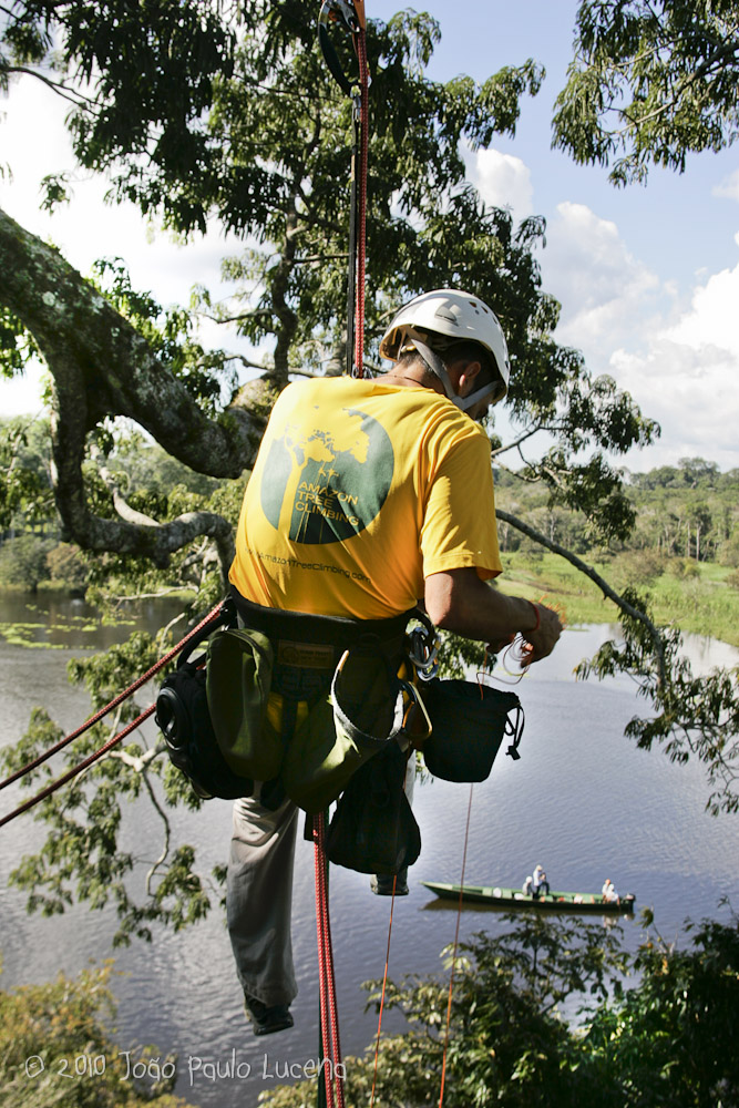 TERRA AUSTRALIS Cadernos Amazônicos Tree Climbing Você já escalou