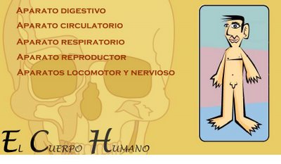 R2.  El Cuerpo Humano