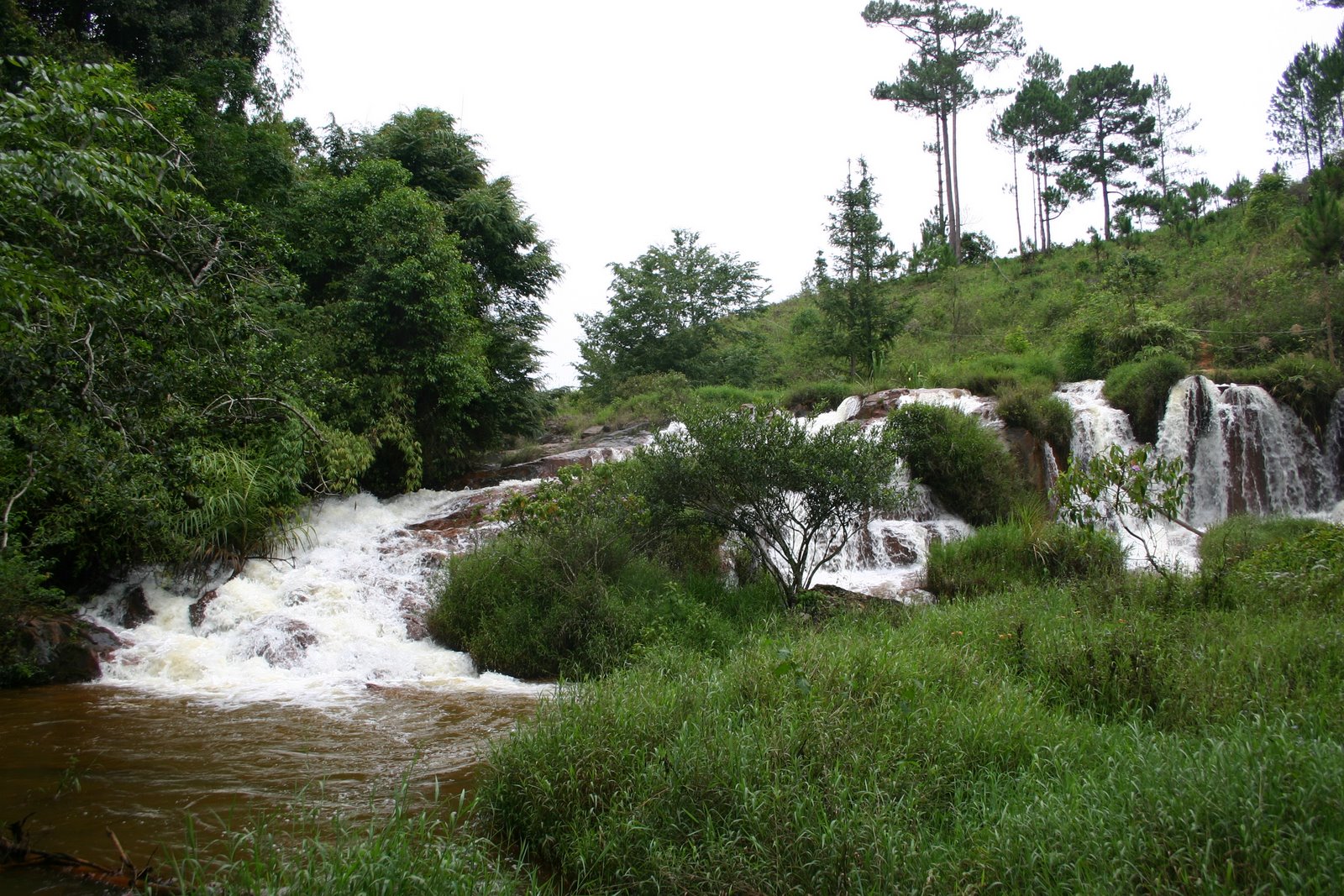[IMG_9959.JPG]