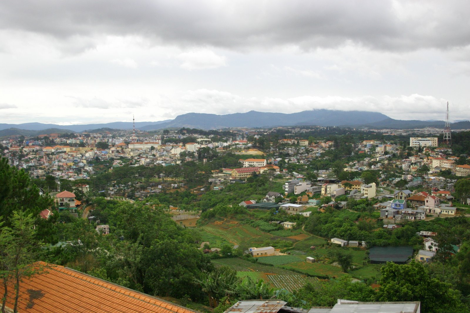 [IMG_9965.JPG]