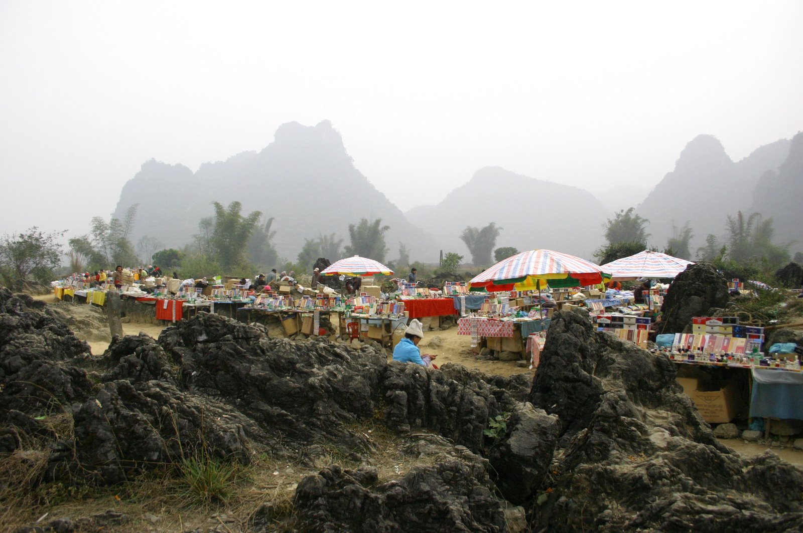 [IMG_5903.JPG]