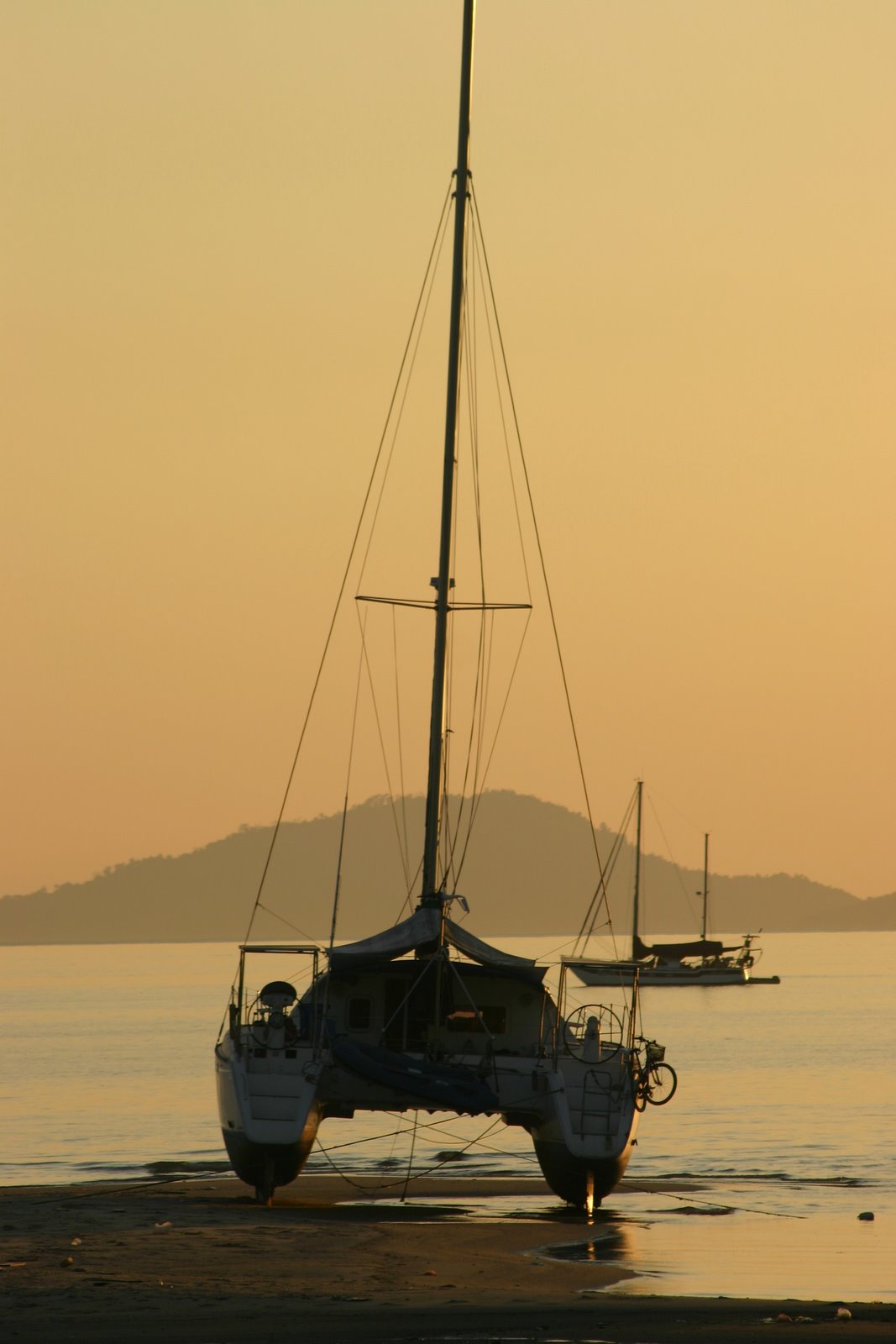 [IMG_7029.jpg]