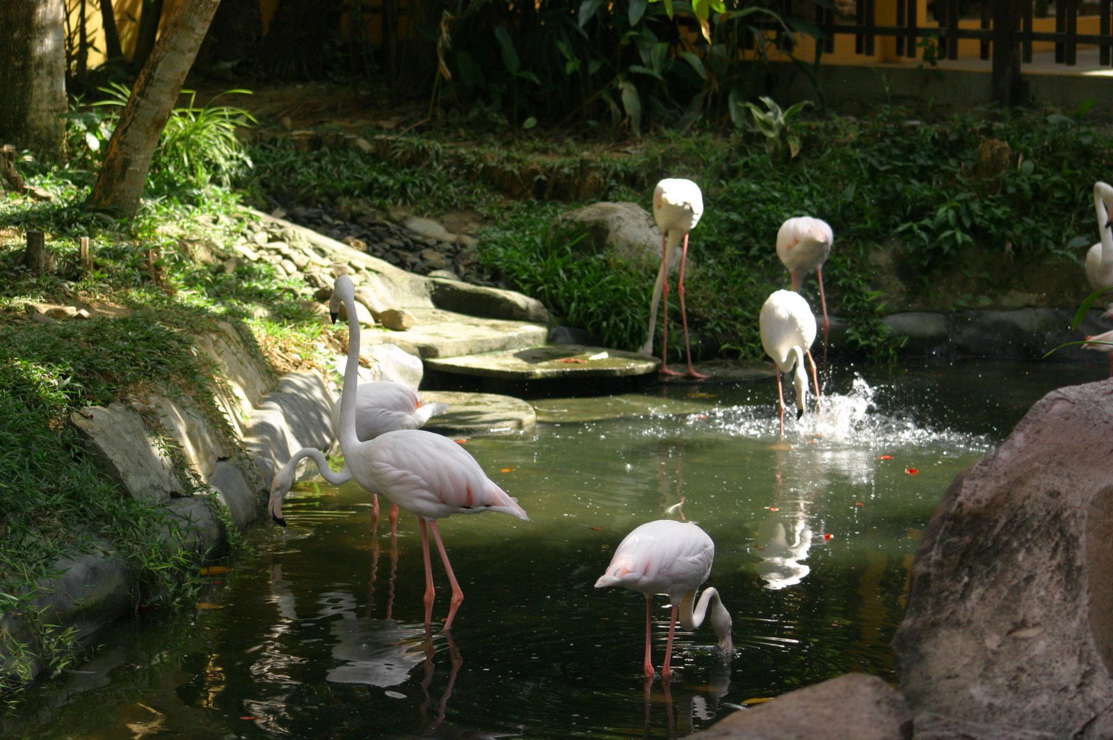 [IMG_7086.JPG]