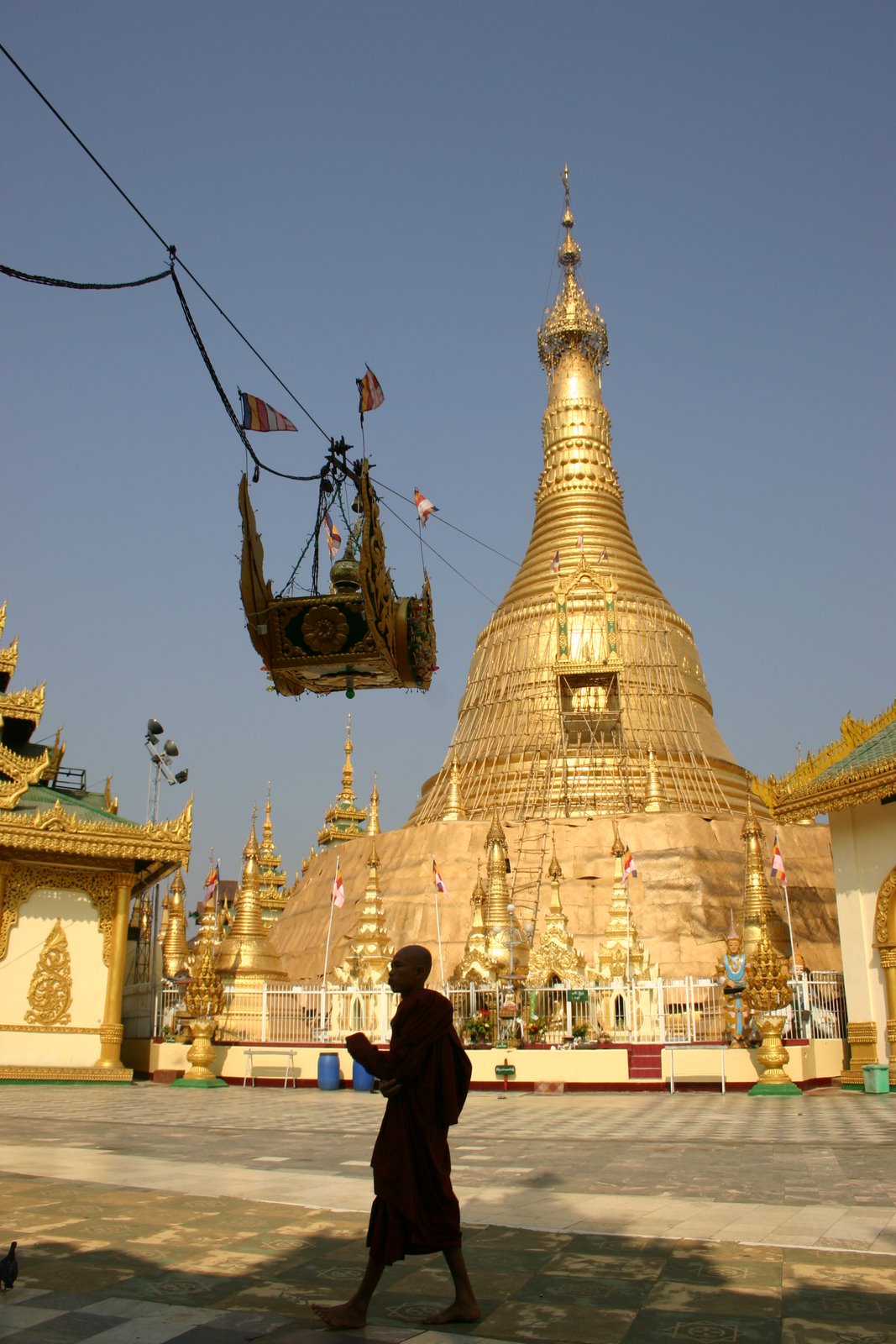 [IMG_7645.JPG]