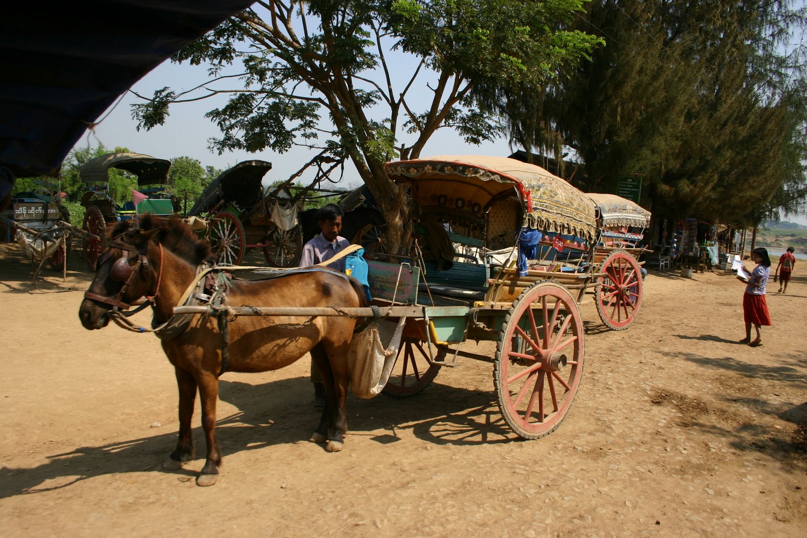 [IMG_7937.JPG]