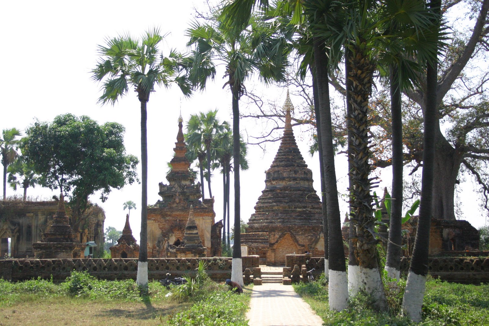 [IMG_7962.JPG]