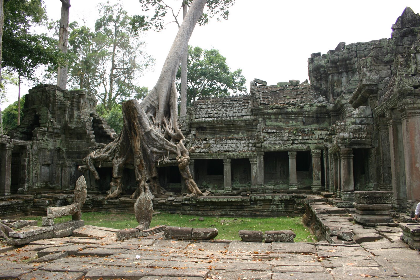 [IMG_9544.JPG]