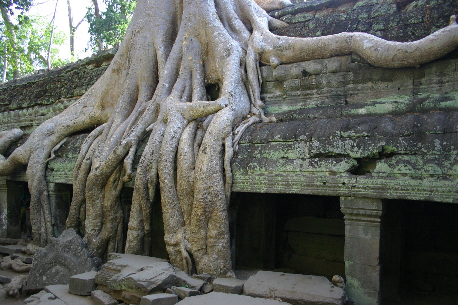 [IMG_9741.JPG]