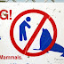 Photo Friday - Do not feed the Marine Mammals!