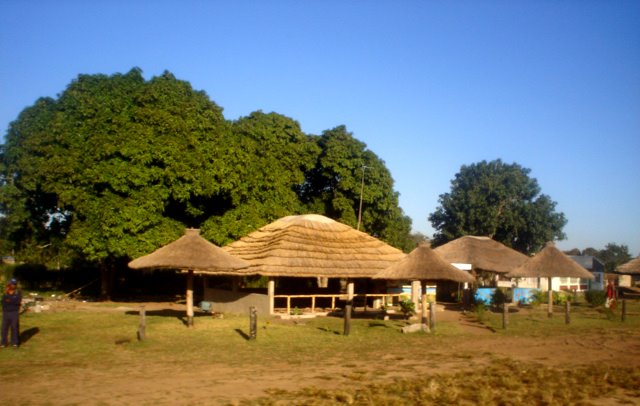 [DSC01854.JPG]
