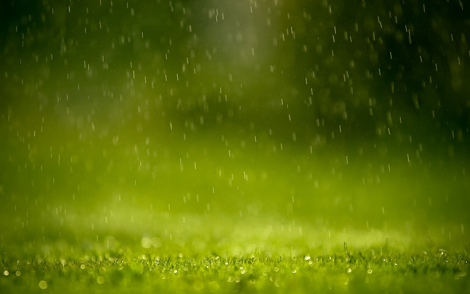 Raindrop Wallpaper