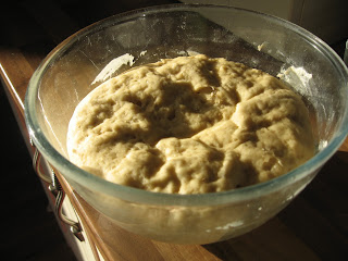 Naan Dough by ng @ Whats for Dinner?