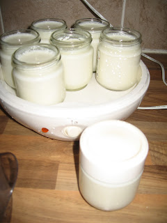 Homemade Yogurt by ng @ Whats for Dinner?
