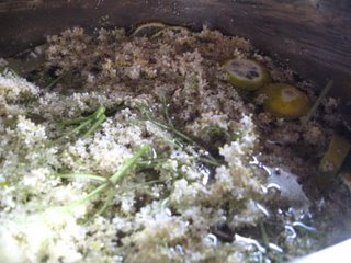 Elderflower Cordial by Ng @ Whats for Dinner?