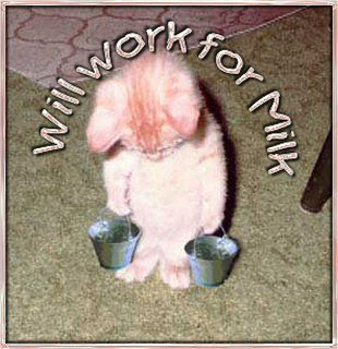 Work Kitten