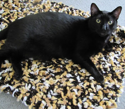 Obviously this hairy blankie was custom made for my dark handsome looks.