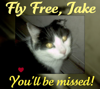 We will miss you very much, Jake.